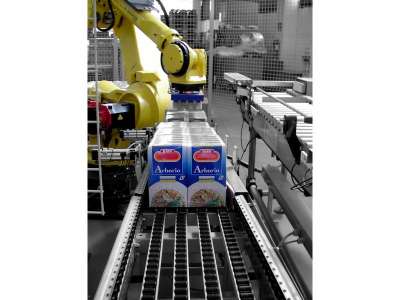 Palettierer für Kartons und Bündel